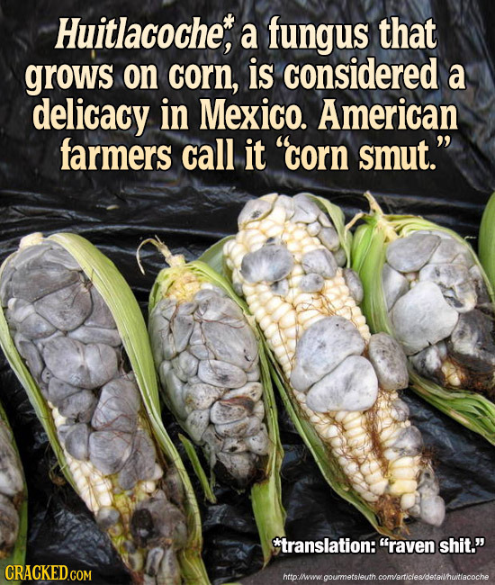 Huitlacoche, a fungus that grows on corn, is considered a delicacy in Mexico. American farmers call it corn smut. **translation: raven shit. htplw