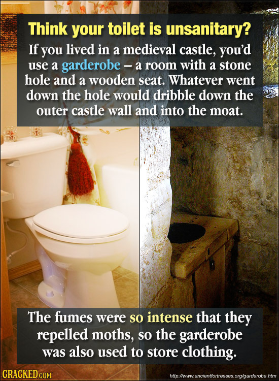 Think your toilet is unsanitary? If you lived in a medieval castle, you'd use a garderobe -: a room with a stone hole and a wooden seat. Whatever went