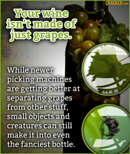 CRACKEDo Your wine isn't made of just grapes. While newer picking machines are getting better at separating grapes from other stuff, small objects and