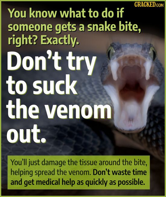 You know what to do if someone gets a snake bite, right? Exactly. Don't try to suck the venom out. You'll just damage the tissue around the bite, help