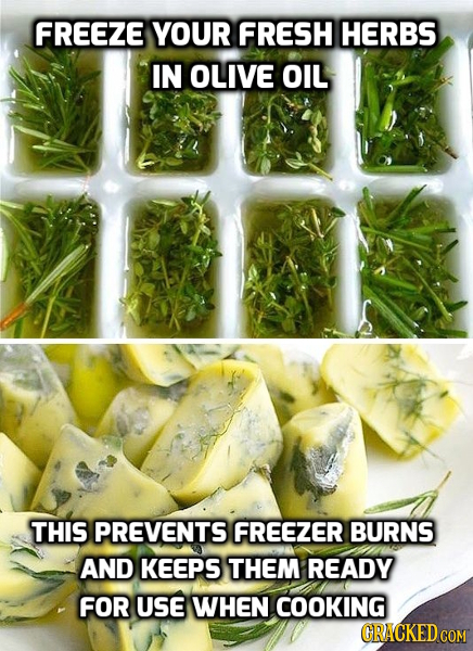 FREEZE YOUR FRESH HERBS IN OLIVE OIL THIS PREVENTS FREEZER BURNS AND KEEPS THEM READY FOR USE WHEN COOKING GRACKED COM