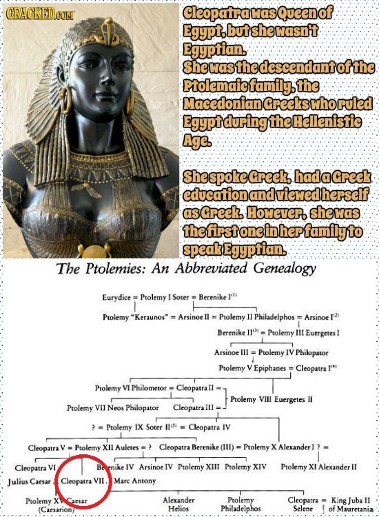 CRACKEDCON Cleopatra was Queeno Egypt. but she wasnt EgyPianbndantofthe Ptolemaicfamily. the Macedoniand Greekswho ruled Egypt during the Hellenistic