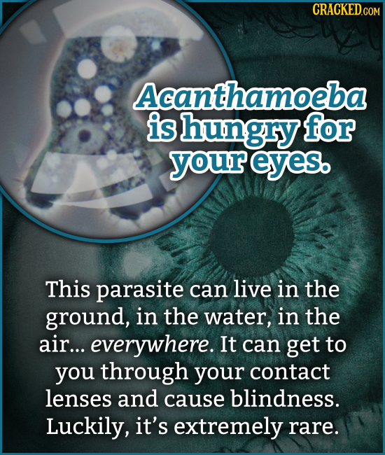 CRACKEDCON Acanthamoeba is hungry for your eyes. This parasite can live in the ground, in the water, in the air... everywhere. It can get to you throu