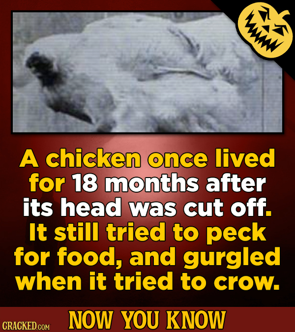 18 Spooky Facts For Scaring Others