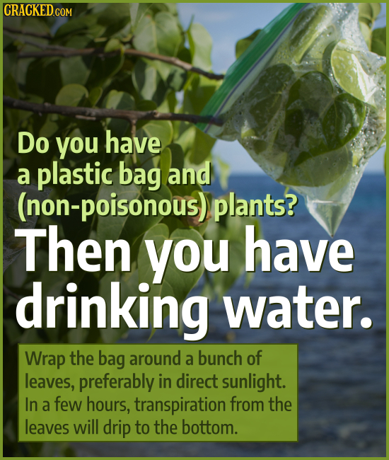 CRACKEDCO Do you have a plastic bag and (non-poisonous) plants? Then you have drinking water. Wrap the bag around a bunch of leaves, preferably in dir