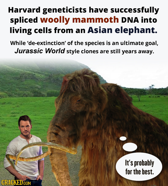 Harvard geneticists have successfully spliced woolly mammoth DNA into living cells from an Asian elephant. While 'de-extinction' of the species is an