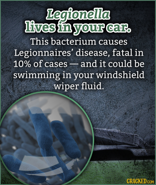 Legionella lives in your caro This bacterium causes Legionnaires' disease, fatal in 10% of cases and it could be swimming in your windshield wiper flu