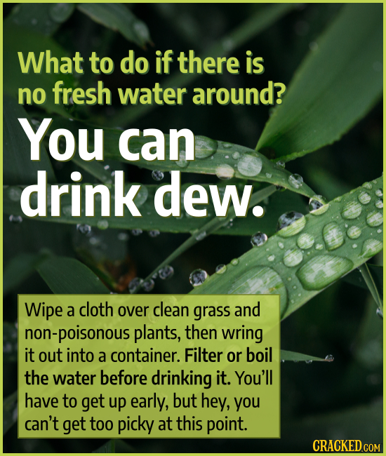 What to do if there is no fresh water around? You can drink dew. Wipe a cloth over clean grass and non-poisonous plants, then wring it out into a cont