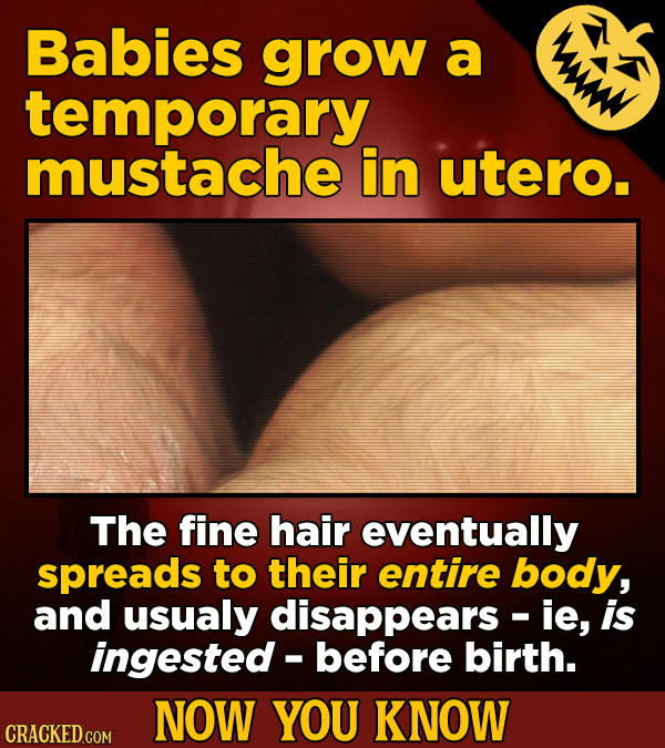 18 Spooky Facts For Scaring Others