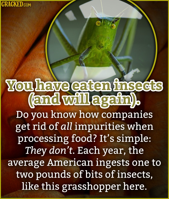 CRACKED.COM You have eaten insects (and willagain) Do you know how companies get rid of all impurities when processing food? It's simple: They don't. 