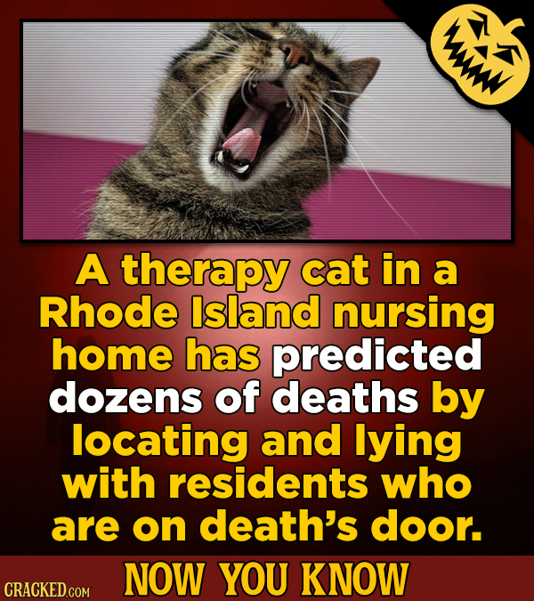 18 Spooky Facts For Scaring Others