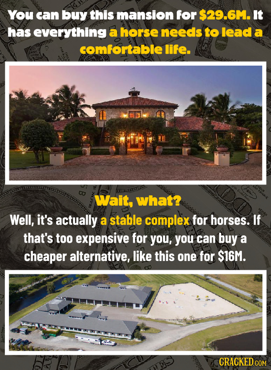 You can buy this mansion for $29.6M. It has everything a horse needs to lead a comfortable life. Wait, what? Well, it's actually a stable complex for