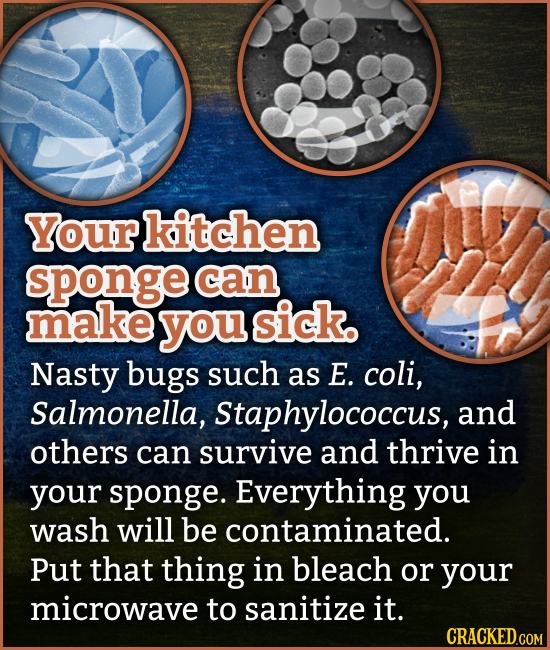 Your kitchen sponge can make you sick. Nasty bugs such as E. coli, Salmonella, Staphylococcus, and others can survive and thrive in YOUr sponge. Every