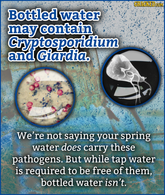 CRAGKEDCOM Bottled water may contain Cryptosporidium and Giardia. We're not saying YOur spring water does carry these pathogens. But while tap water i