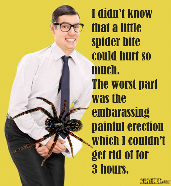 I didn't know that a little spider bite could hurt SO much. The worst part was the embarassing painful erection which I couldn't get rid of for 3 hour