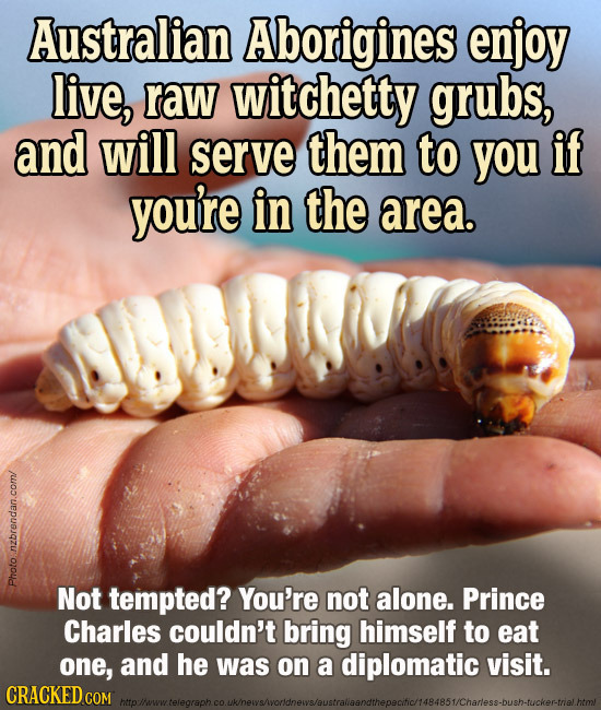 Australian Aborigines enjoy live, raw witchetty grubs, and will serve them to you if you're in the area. PHOto Photo. Not tempted? You're not alone. P