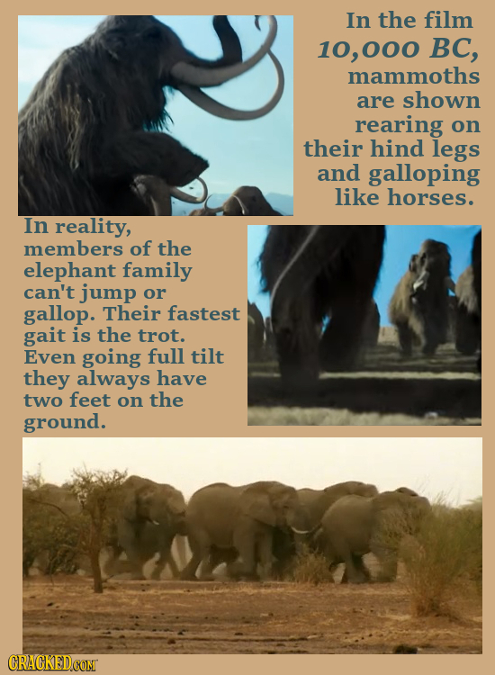 In the film 10, 000 BC, mammoths are shown rearing on their hind legs and galloping like horses. In reality, members of the elephant family can't jump