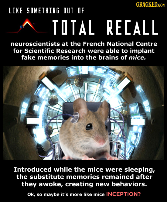 CRACKED.COM LIKE SOMETHING DUT DF TOTAL RECALL neuroscientists at the French National Centre for Scientific Research were able to implant fake memorie