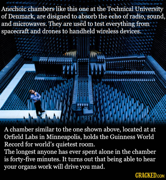 Anechoic chambers like this one at the Technical University of Denmark, are disigned to absorb the echo of radio, sound, and microwaves. They are used
