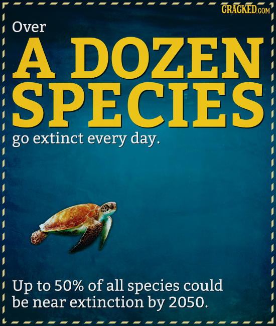 CRACKEDGOM Over A DOZEN ISPECIES go extinct every day. Up to 50% of all species could be near extinction by 2050.