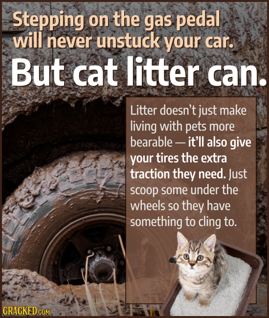 Stepping on the gas pedal will never unstuck your car. But cat litter can. Litter doesn't just make living with pets more bearable - it'll also give y