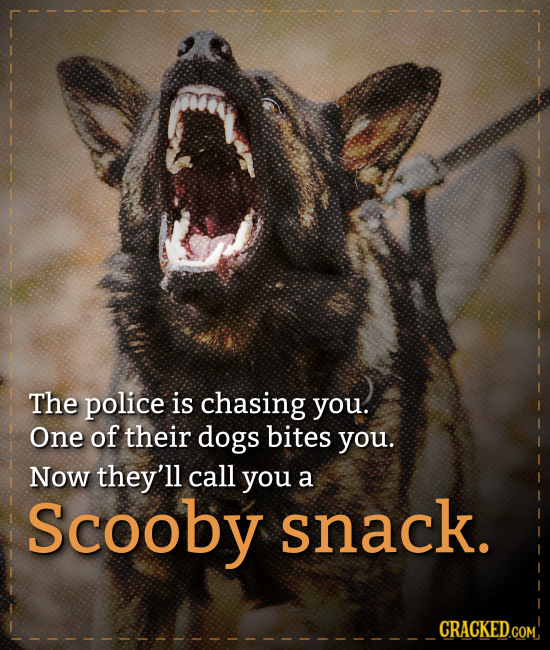 The police is chasing you. One of their dogs bites you. Now they'll call you a Scooby snack.