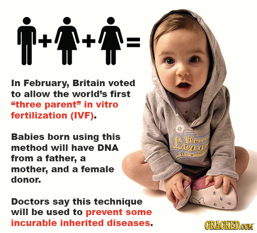 In February, Britain voted to allow the world's first three parent in vitro fertilization (IVF). Babies born using this LEDca Elont method will have