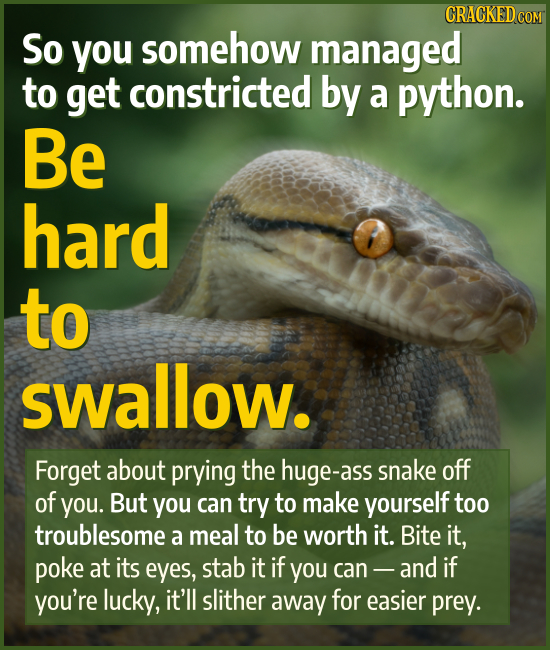 CRACKED CON So you somehow managed to get constricted by a python. Be hard to swallow. Forget about prying the huge-ass snake off of you. But you can 