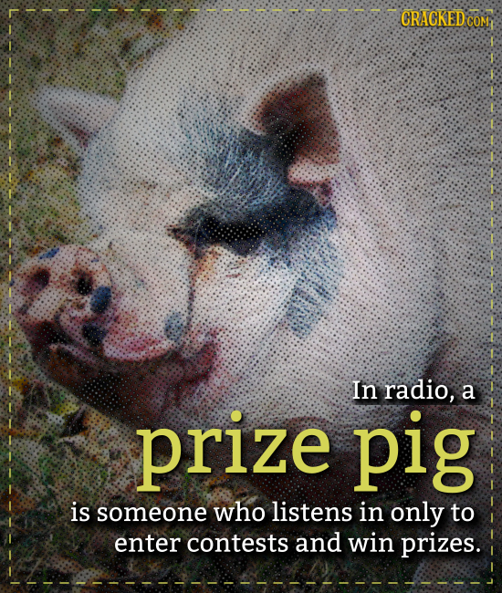 CRACKED COM prize In radio, a pig is someone who listens in only to enter contests and win prizes.