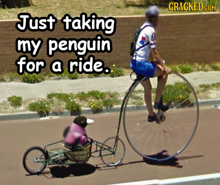 CRACKEDCON Just taking my penguin for a ride.