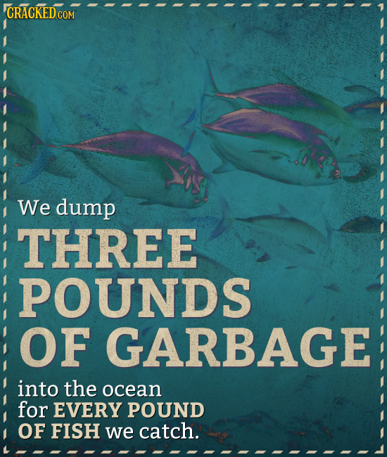 COM We dump THREE POUNDS OF GARBAGE into the ocean for EVERY POUND OF FISH we catch.