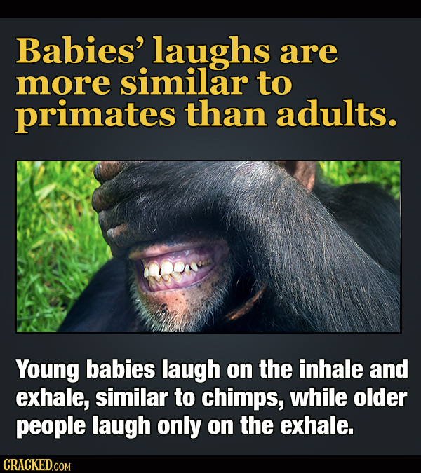 18 Facts About Laughter To Make You Overthink Every Joke