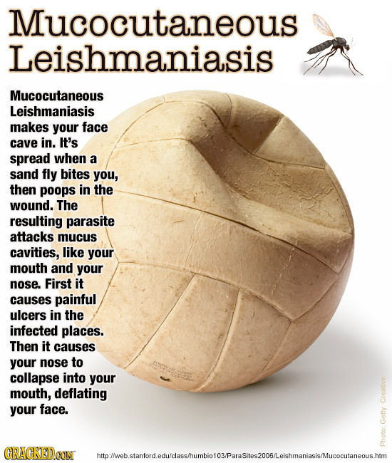 Mucocutaneous Leishmaniasis Mucocutaneous Leishmaniasis makes your face cave in. It's spread when a sand fly bites you, then poops in the wound. The r