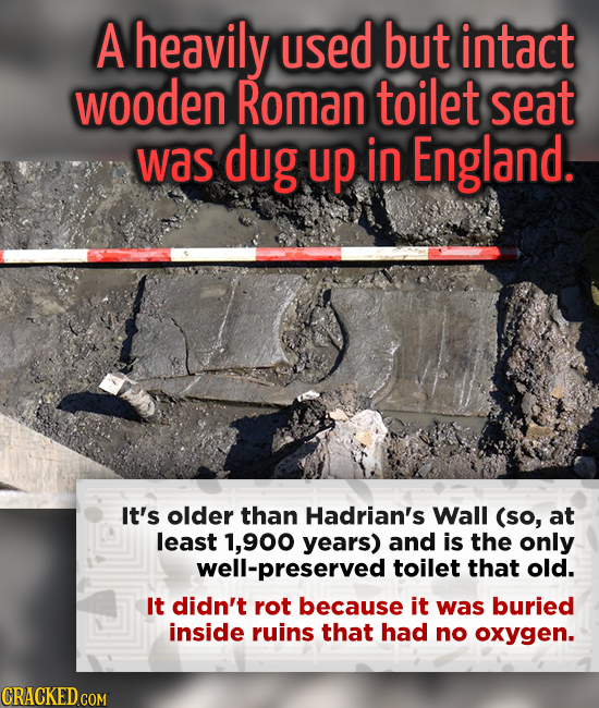 A heavily used but intact wooden Roman toilet seat was dug up in England. It's older than Hadrian's Wall (so, at least 1,900 years) and is the only we