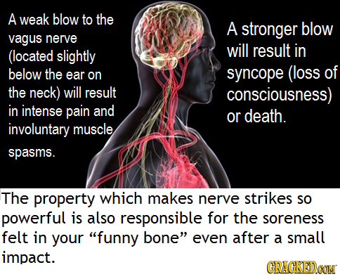 A weak blow to the A stronger blow vagus nerve will (located result in slightly below the on syncope (loss of ear the neck) will result consciousness)