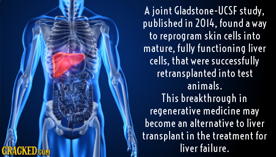 A joint Gladstone-UCS study, published in 2014, found a way to reprogram skin cells into mature, fully functioning liver cells, that were successfully