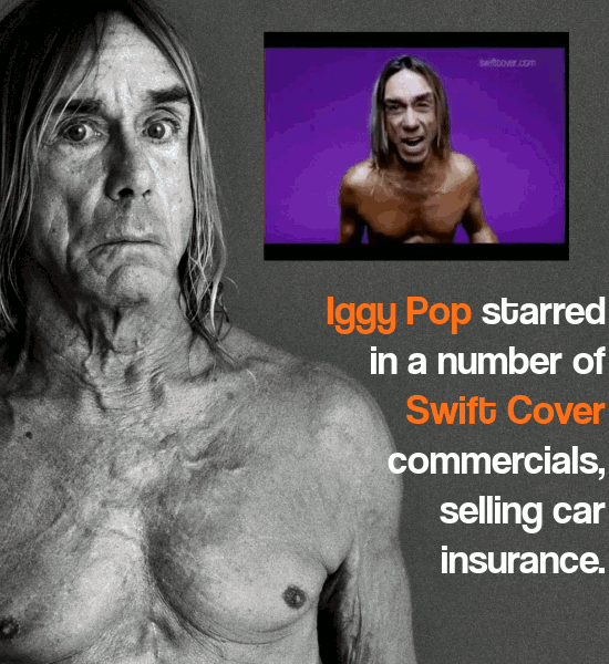 27 Celeb Ding-Dong (And Disappointing) Ads