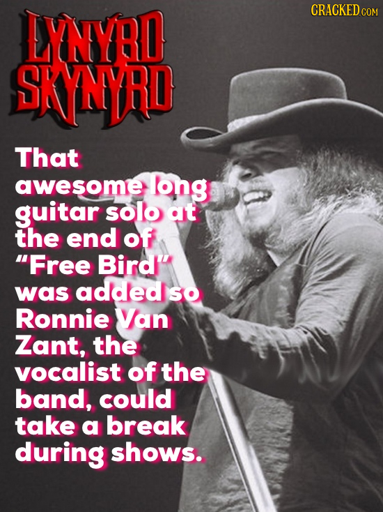 LYNYRD CRACKED COM SKNYRD That awesome log guitar solo at the end of Free Bird'' was added SO Ronnie Van Zant, the vocalist of the band, could take a