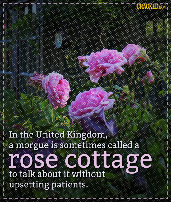 CRACKED COM1 In the United Kingdom, a morgue is sometimes called a rose cottage to talk about it without upsetting patients.