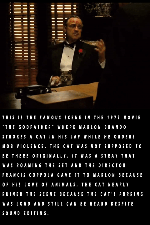 16 Famous Scenes That Happened On The Fly