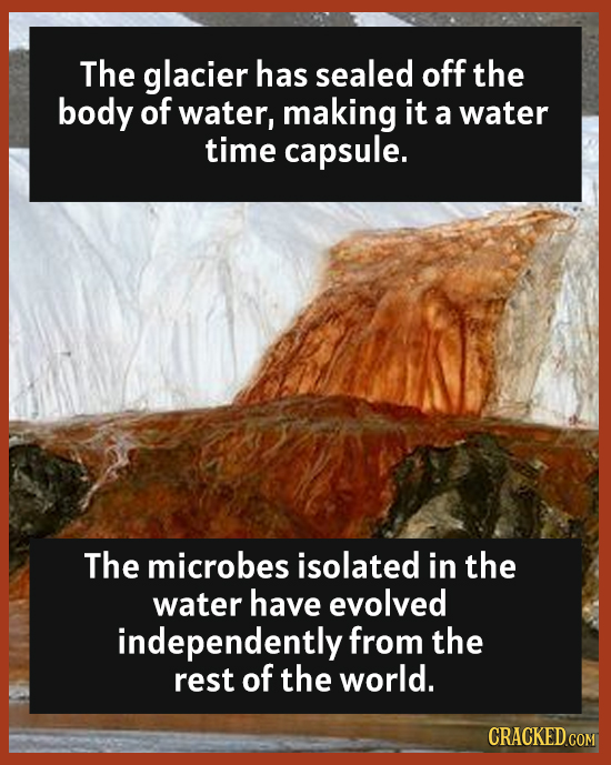 The glacier has sealed off the body of water, making it a water time capsule. The microbes isolated in the water have evolved independently from the r