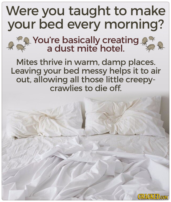 Were you taught to make your bed every morning? You're basically creating a dust mite hotel. Mites thrive in warm, damp places. Leaving your bed messy