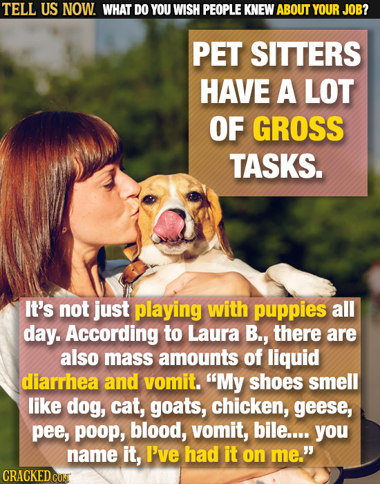 TELL US NOW. WHAT DO YOU WISH PEOPLE KNEW ABOUT YOUR JOB? PET SITTERS HAVE A LOT OF GROSS TASKS. It's not just playing with puppies all day. According