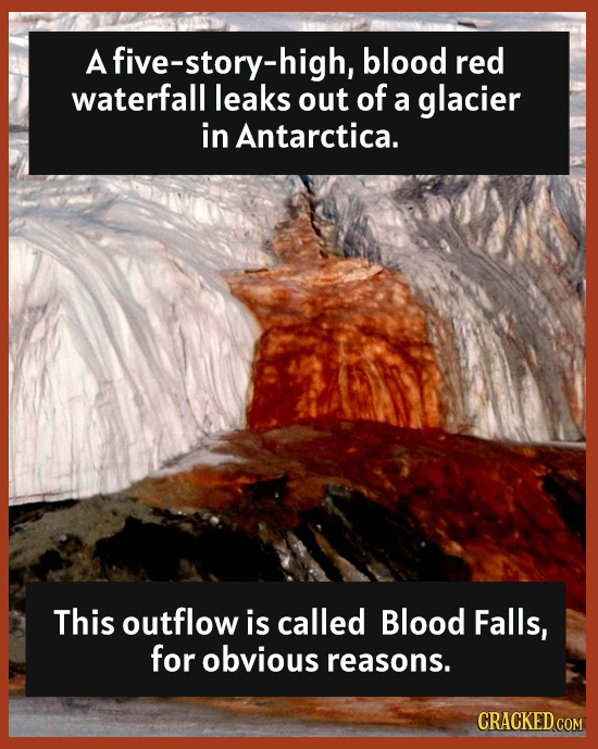 A A five-story-high, blood red waterfall leaks out of a glacier in Antarctica. This outflow is called Blood Falls, for obvious reasons. CRACKED COM