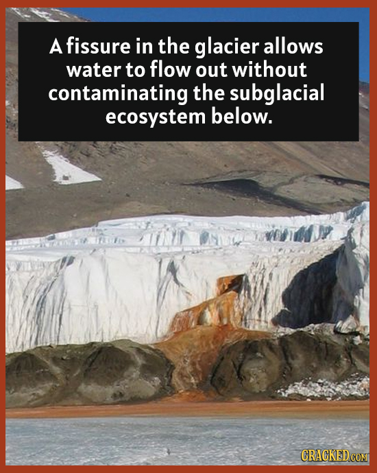 A fissure in the glacier allows water to flow out without contaminating the subglacial ecosystem below. 