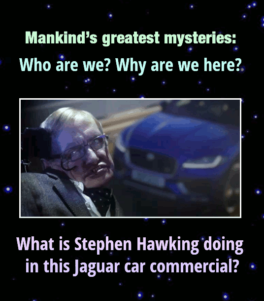 27 Celeb Ding-Dong (And Disappointing) Ads