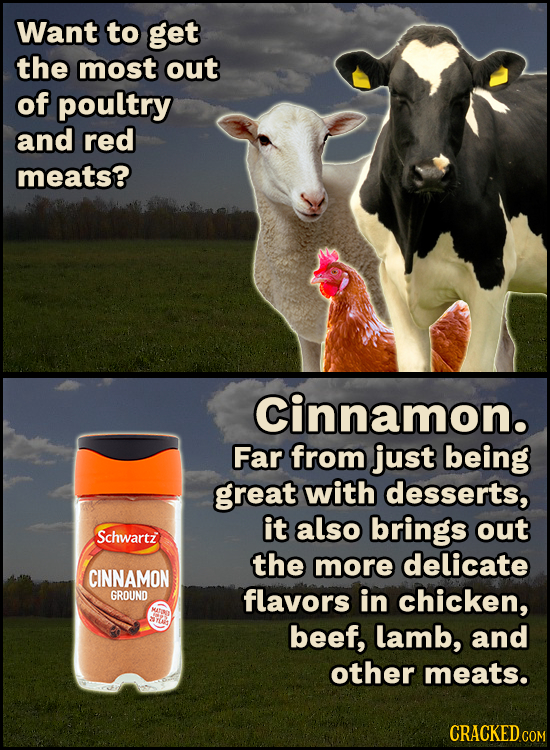 Want to get the most out of poultry and red meats? Cinnamon. Far from just being great with desserts, it also brings out Schwarti the more delicate CI