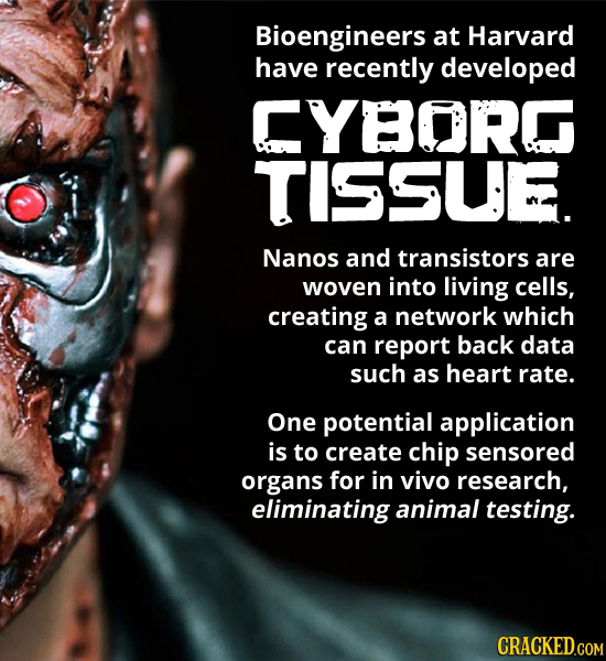 Bioengineers at Harvard have recently developed CYBORG TISSUE. Nanos and transistors are woven into living cells, creating a network which can report
