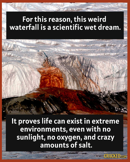 For this reason, this weird waterfall is a scientific wet dream. It proves life can exist in extreme environments even with no sunlight, no oxygen, an