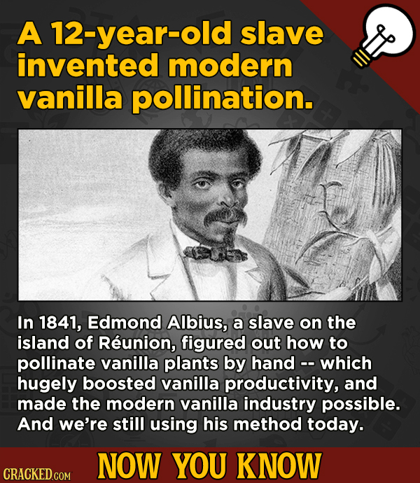 13 Cool Things You Didn’t Know About Movies (And Other Stuff) - A 12-year-old slave invented modern vanilla pollination.